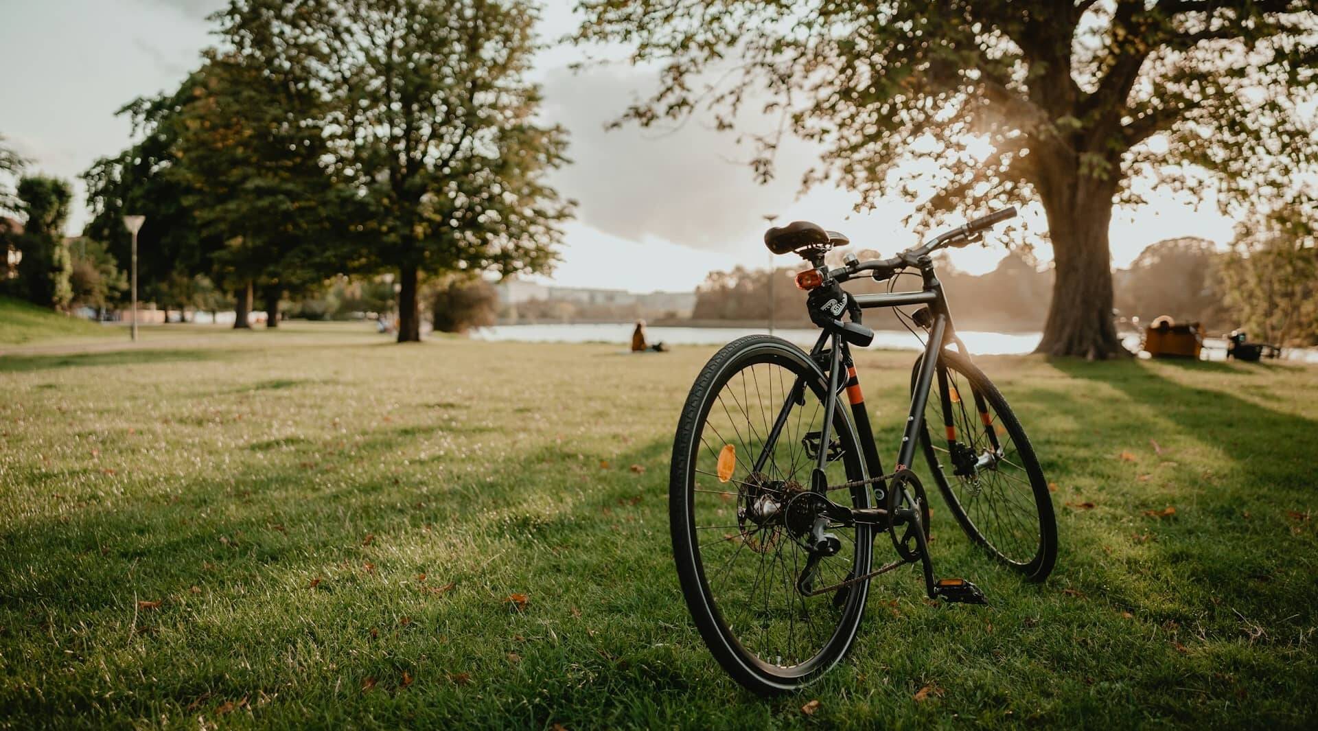 Ein Fahrrad steht im grünen Park am See, während die Sonne untergeht und eine entspannte Atmosphäre schafft.