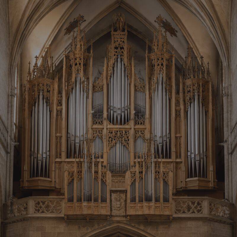 Die Rieger-Orgel im gotischen Dom St. Peter Regensburg – Orgelkonzerte 2026, mittwochs von Mai bis Juli